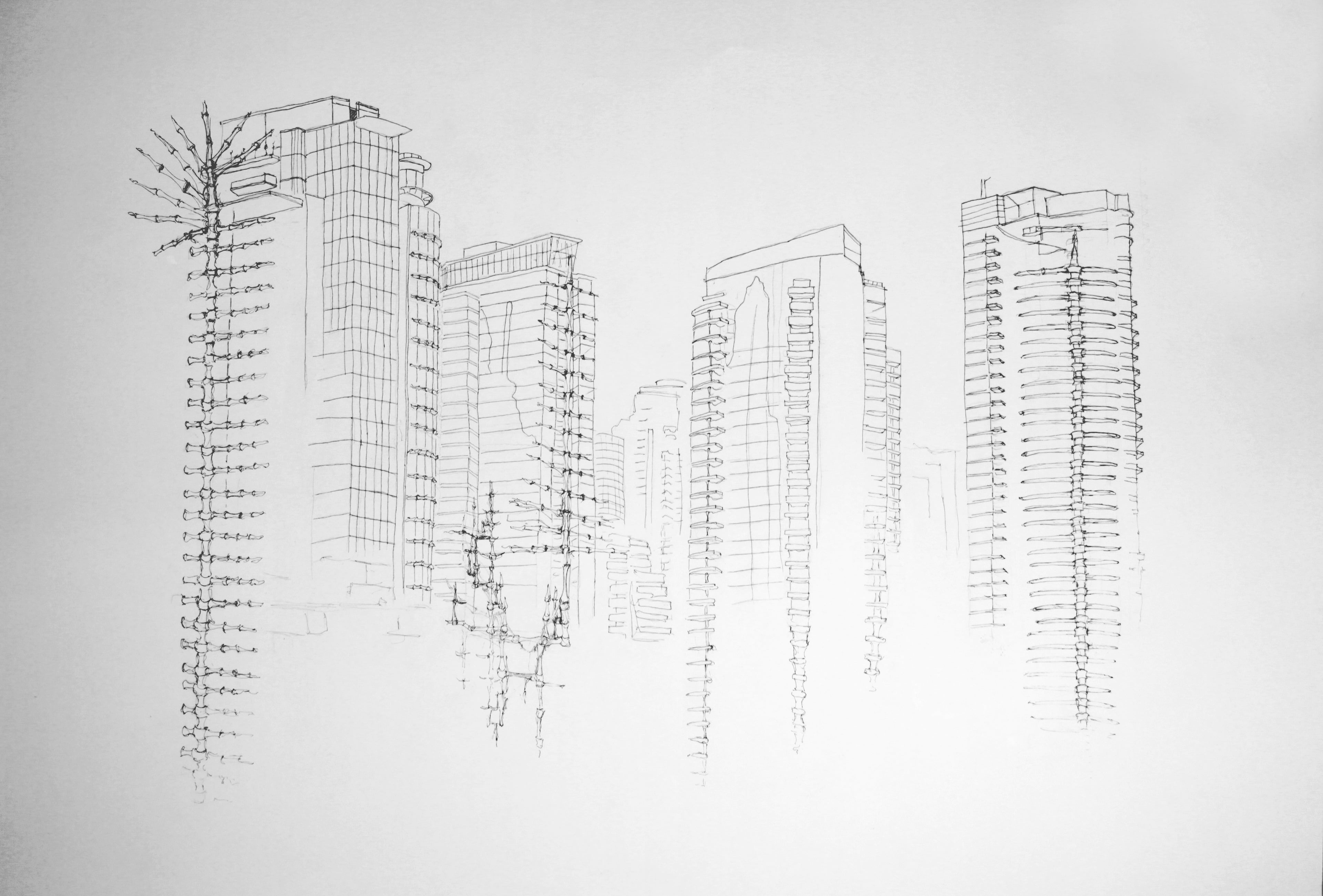 Bony architecture — 2 of 3