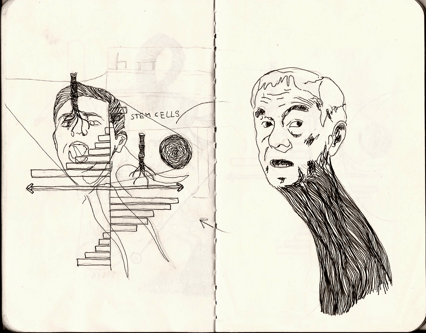 Dreams & the absurd — 2 of 12