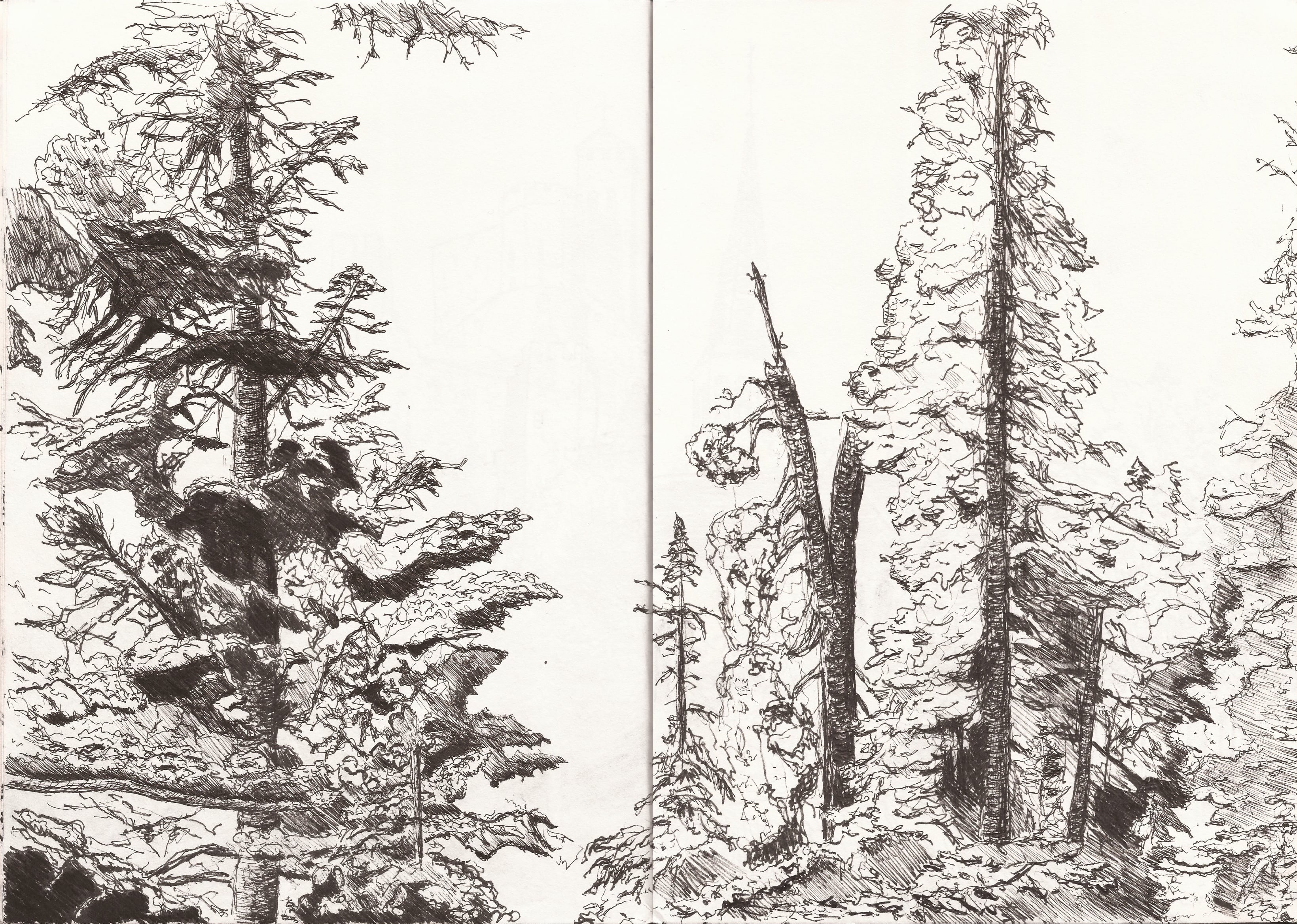 Landscape sketches