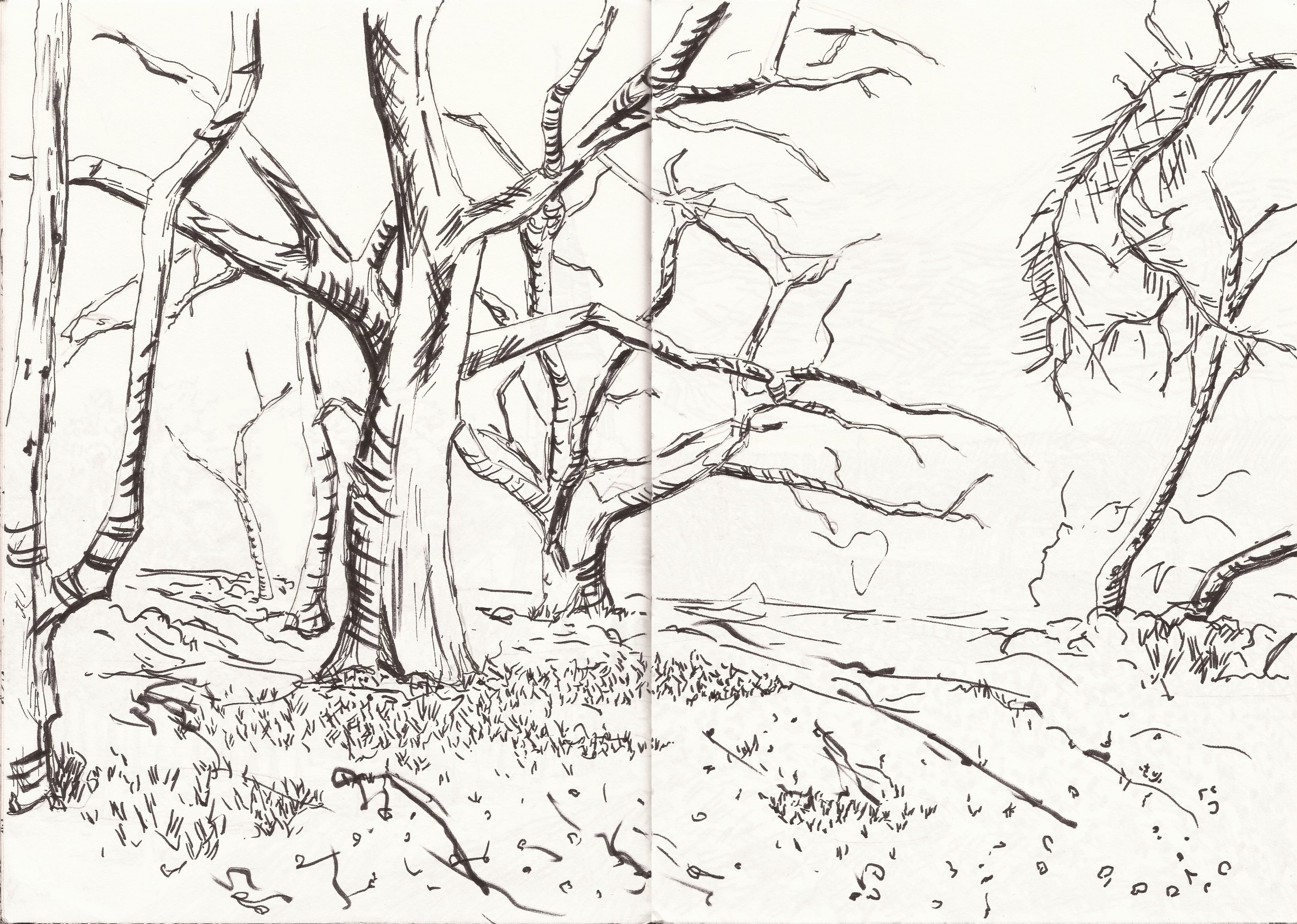 Landscape sketches — 4 of 5