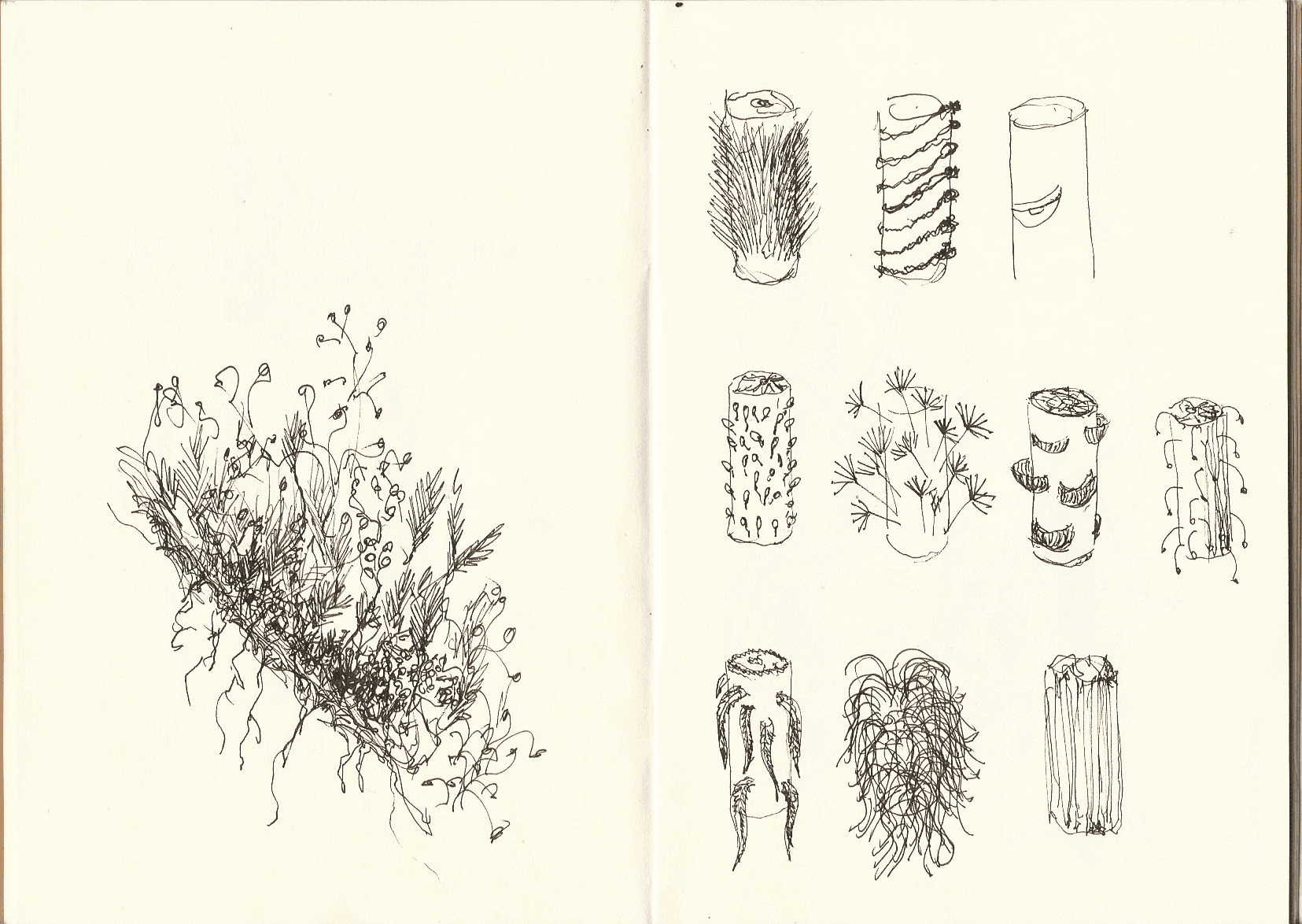 Surreal organisms