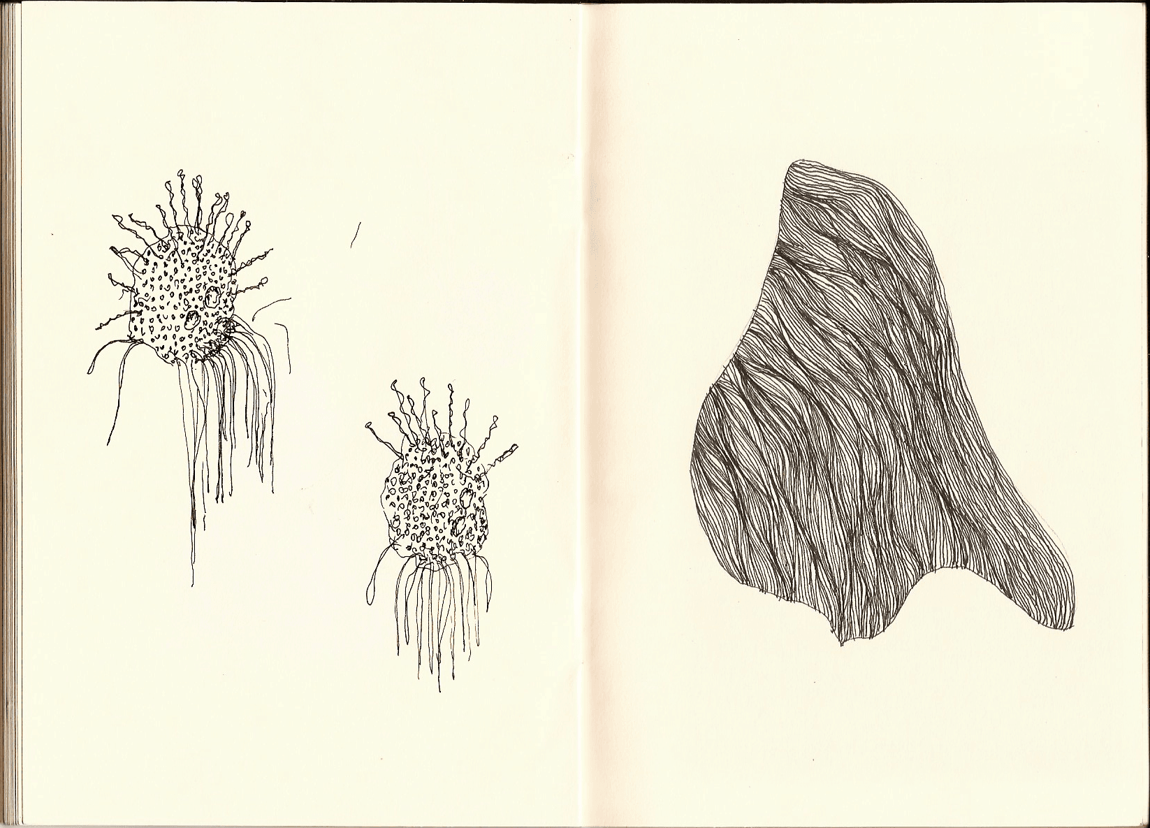 Surreal organisms — 5 of 11