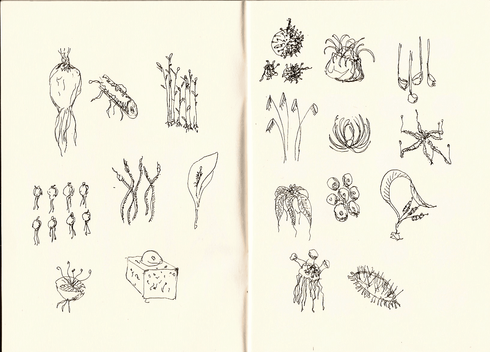 Surreal organisms — 6 of 11