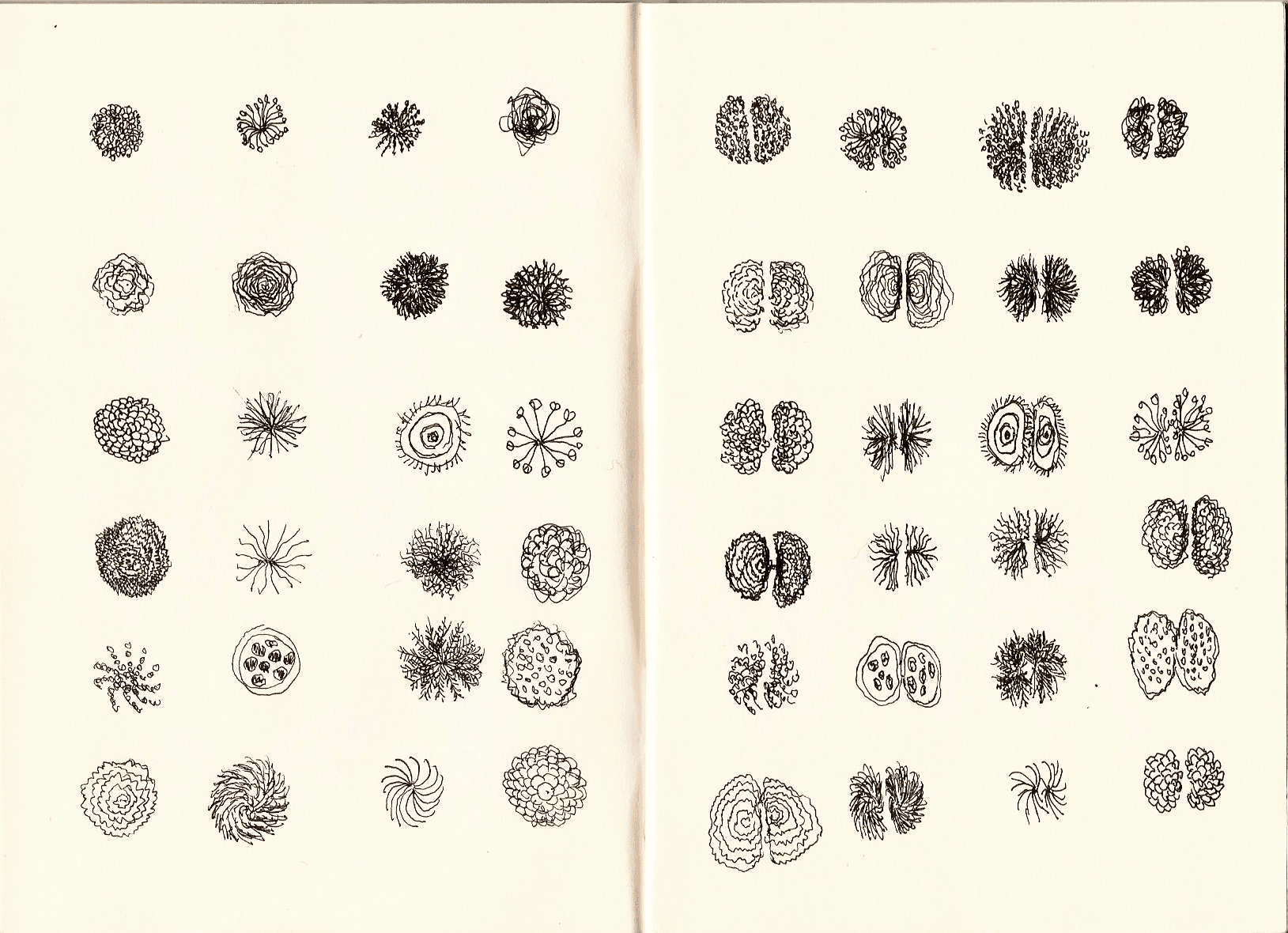Surreal organisms — 7 of 11