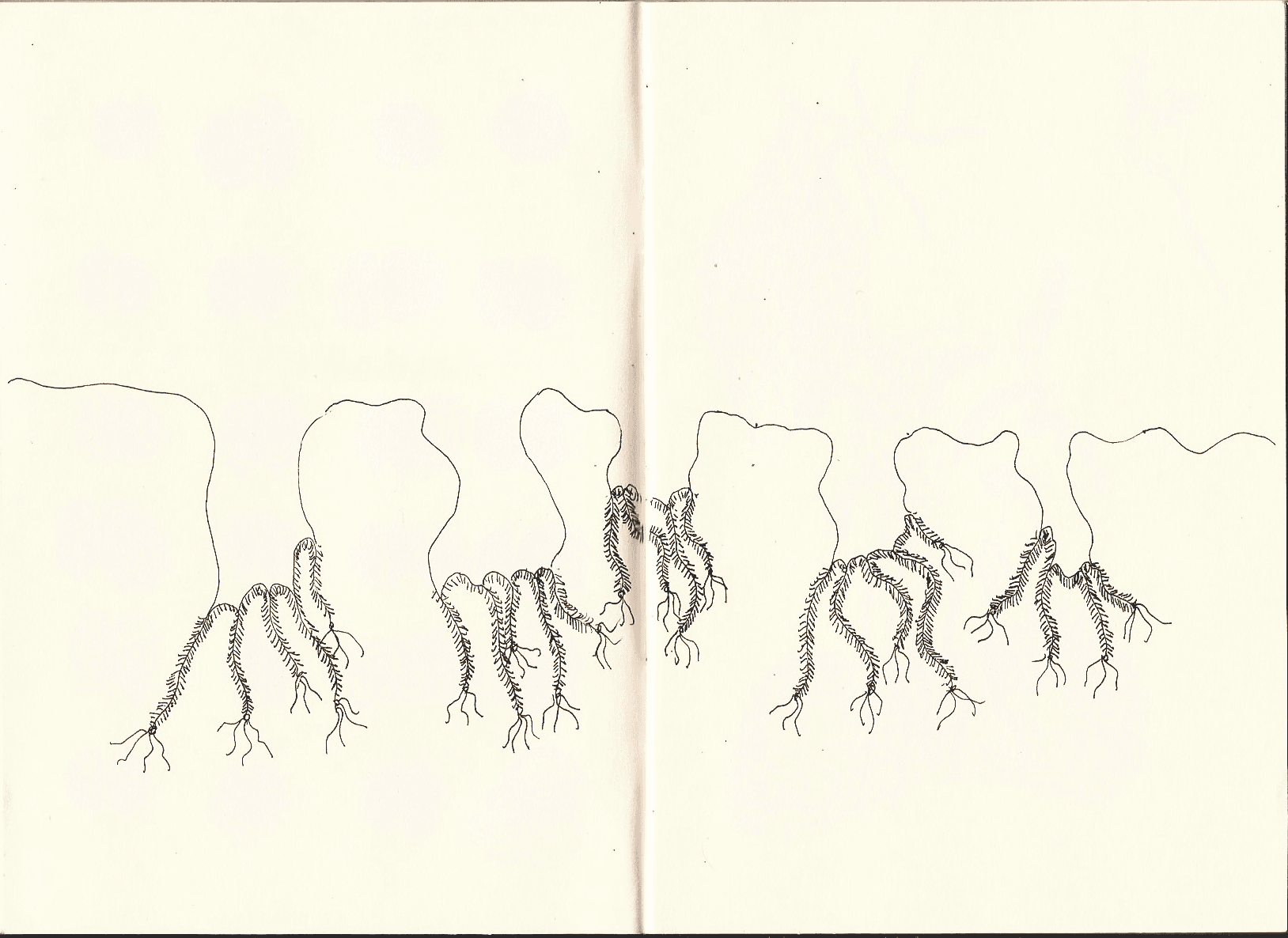 Surreal organisms — 8 of 11