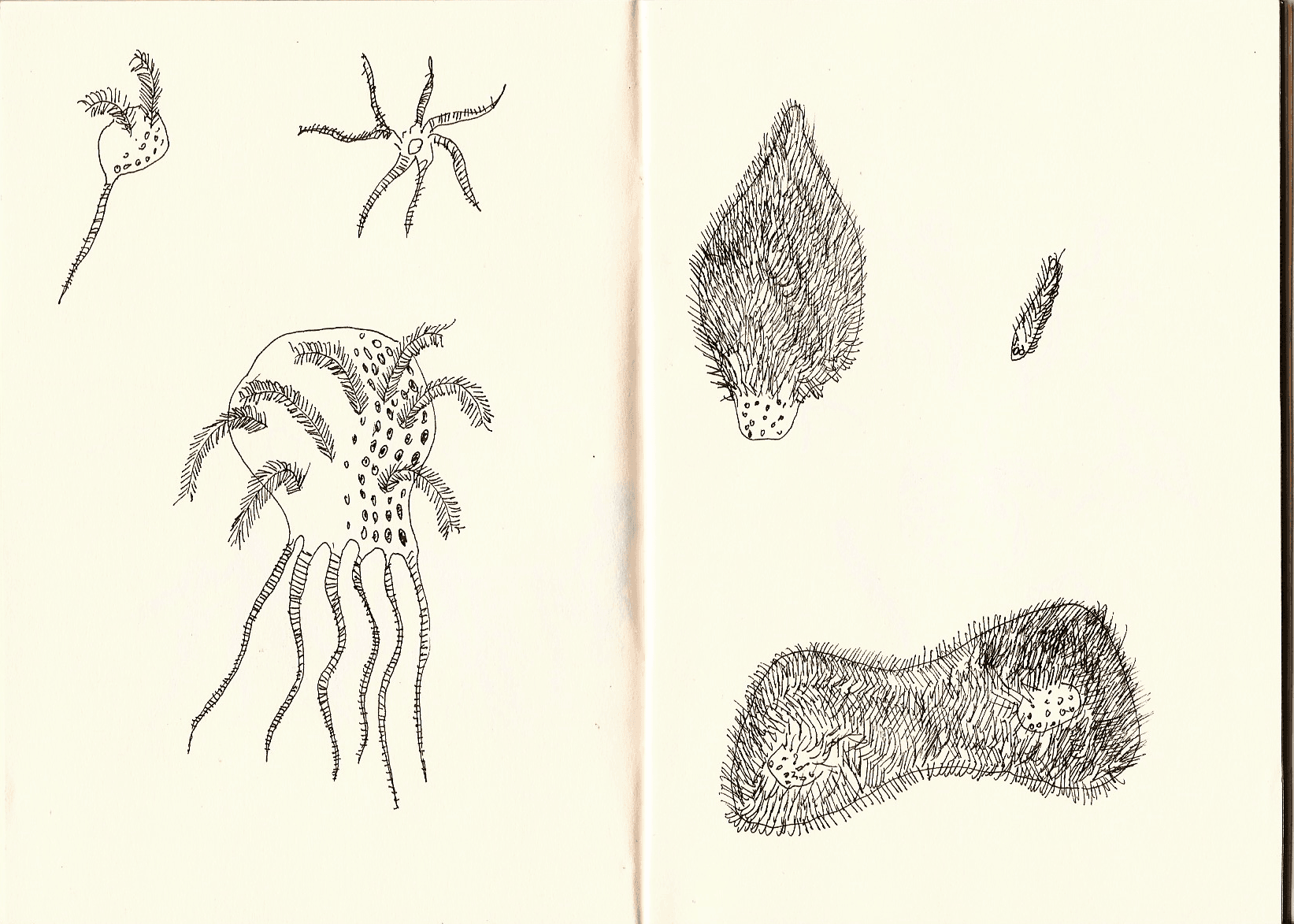 Surreal organisms — 9 of 11