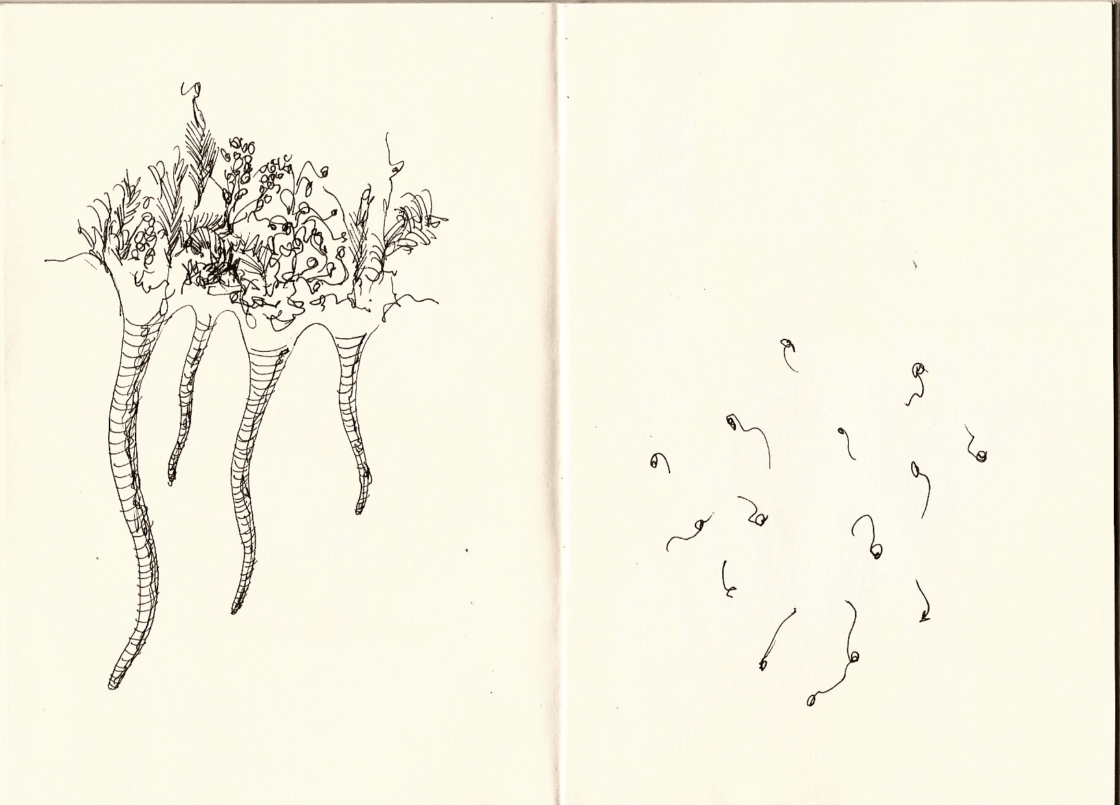 Surreal organisms — 10 of 11