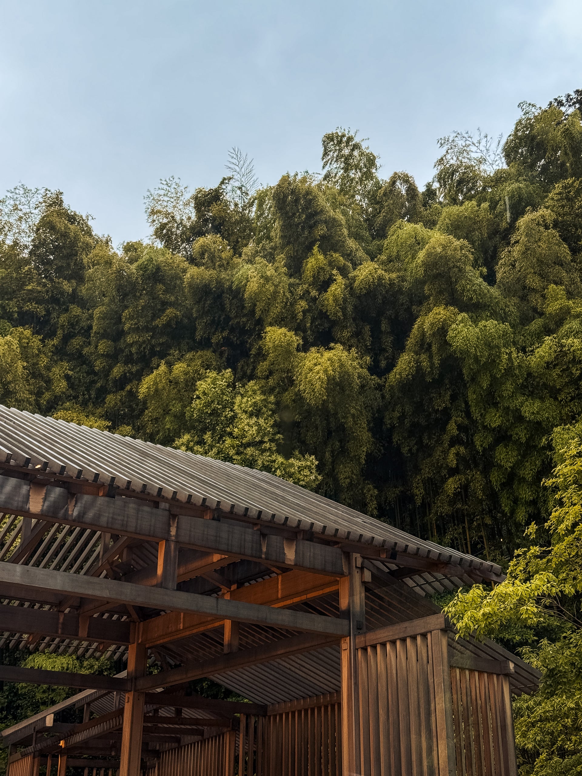 Banyan Tree Kyoto — photography by Adrien Lahoussaye
