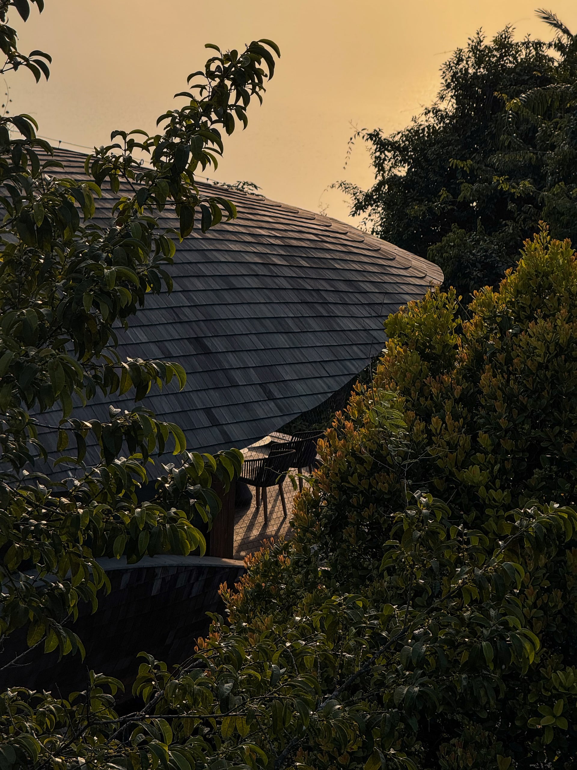 Mandai Rainforest Resort, Singapore — hospitality photograph 1 of 5 by Adrien Lahoussaye